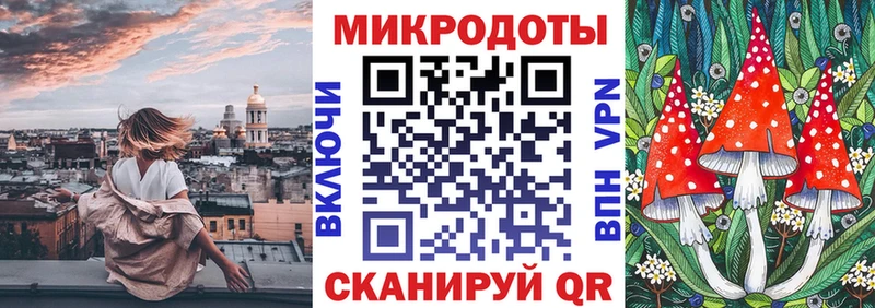 Галлюциногенные грибы Magic Shrooms  Купить где  Дрезна 