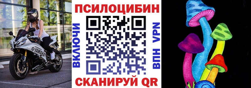 Псилоцибиновые грибы GOLDEN TEACHER Дрезна